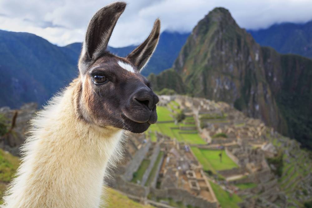 Machu Picchu Peru, Fred. Olsen Cruise Lines, Fred. Olsen Travel