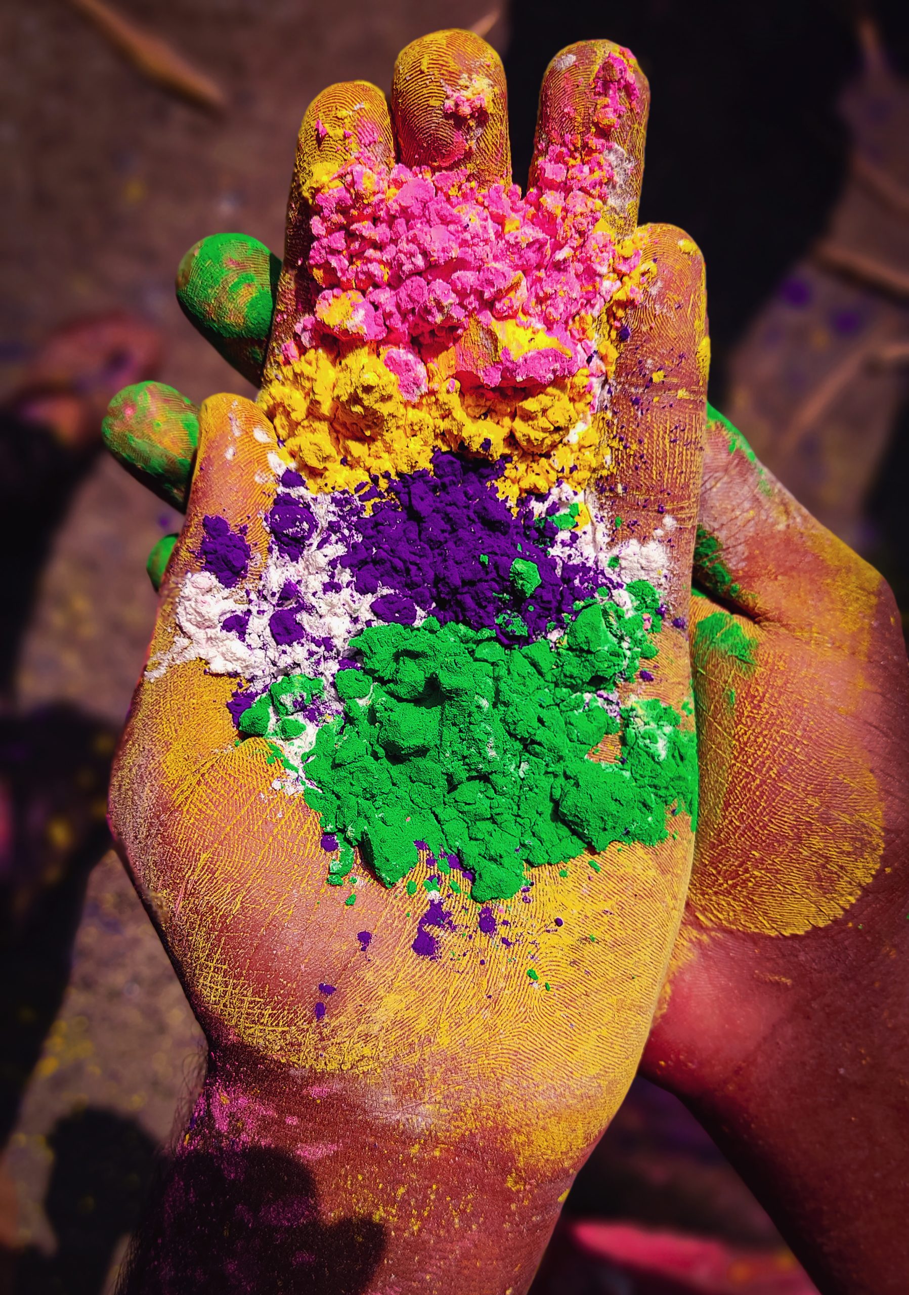 India Holi festivel